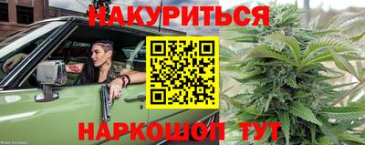 Альфа ПВП Ставрополь