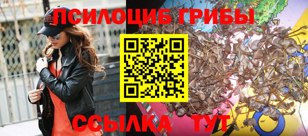 Нурлат  Галлюциногенные грибы Psilocybine cubensis  Вход с VPN 