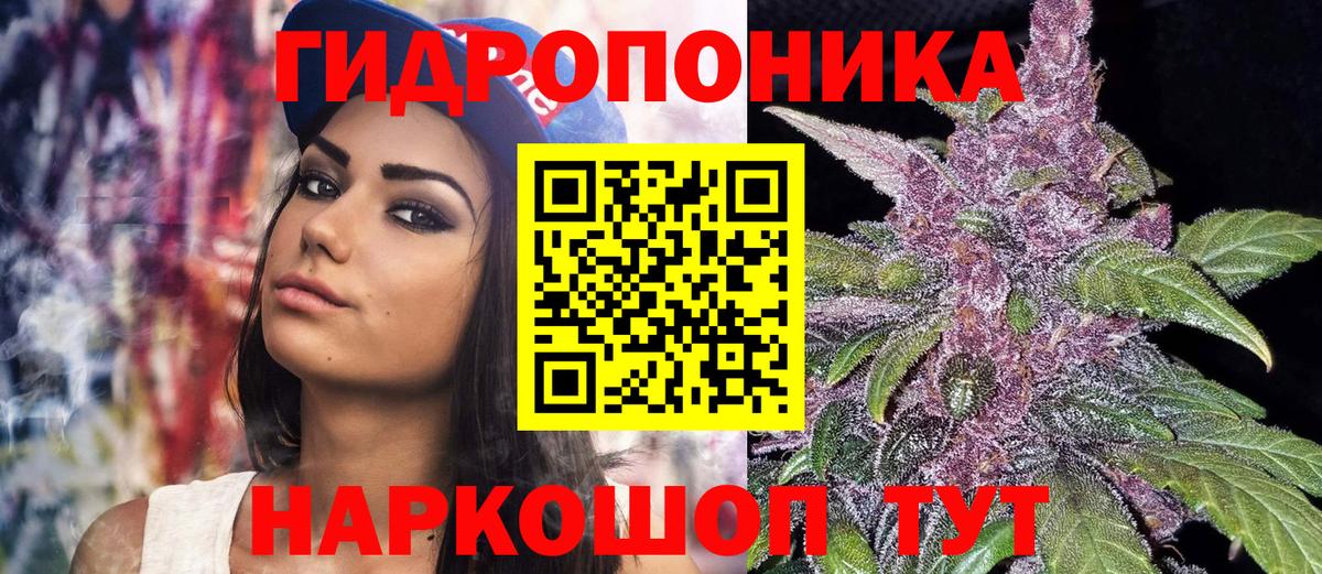 Шишки марихуана конопля  Вход с VPN  Нурлат  Каннабис конопля  МАРИХУАНА сатива 